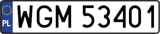 WGM53401