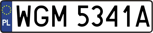 WGM5341A