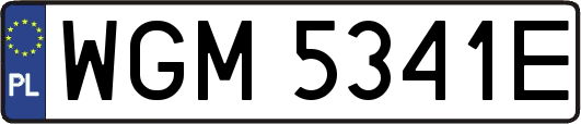 WGM5341E