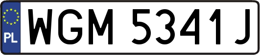 WGM5341J