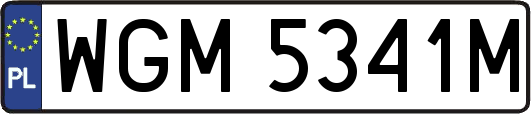 WGM5341M