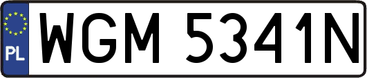 WGM5341N