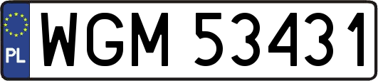 WGM53431