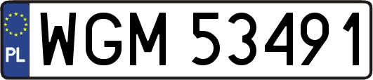 WGM53491