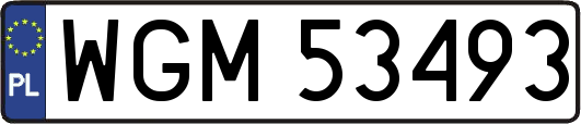WGM53493