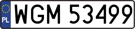 WGM53499