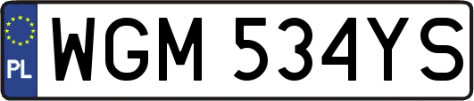 WGM534YS