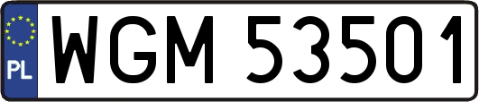 WGM53501