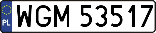 WGM53517