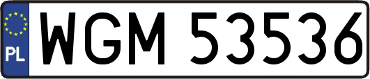 WGM53536