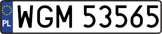 WGM53565