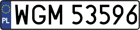 WGM53596