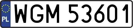 WGM53601