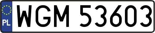 WGM53603