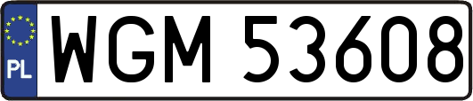 WGM53608