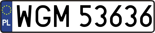 WGM53636