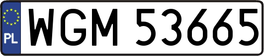 WGM53665