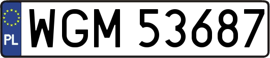 WGM53687