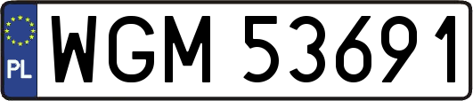 WGM53691