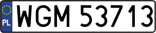 WGM53713