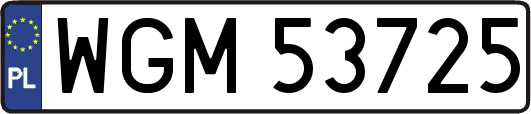 WGM53725