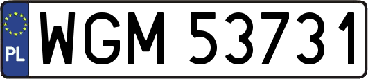 WGM53731