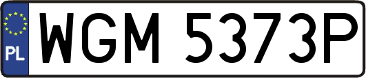 WGM5373P
