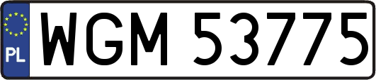 WGM53775