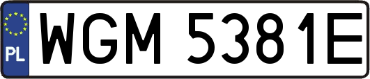 WGM5381E