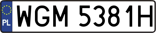WGM5381H