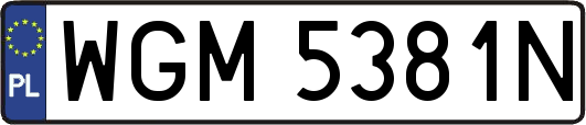 WGM5381N