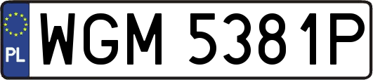 WGM5381P