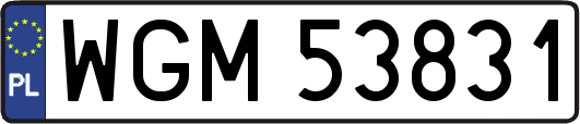 WGM53831