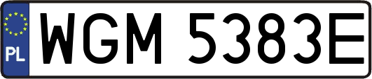 WGM5383E
