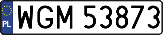WGM53873