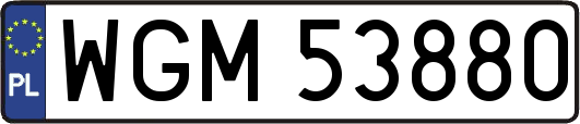 WGM53880