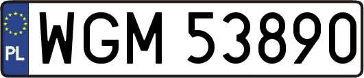 WGM53890