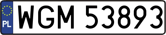 WGM53893