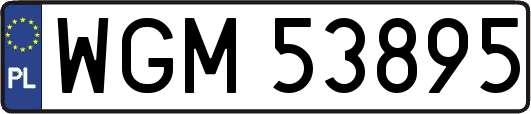 WGM53895