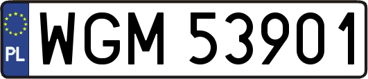 WGM53901