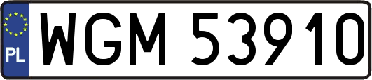 WGM53910