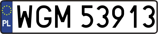WGM53913