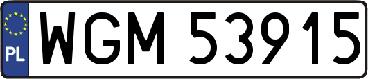 WGM53915