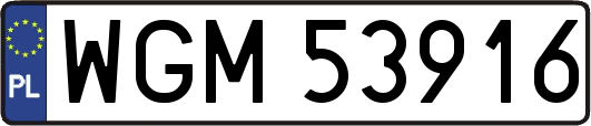WGM53916