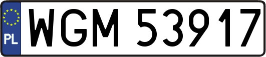 WGM53917