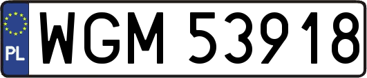 WGM53918
