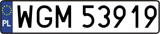 WGM53919
