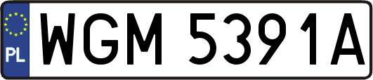 WGM5391A