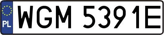 WGM5391E