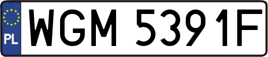 WGM5391F